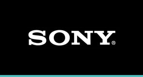 SONY - BATTERIES